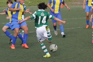 爱游戏中国官方网站平台-詹姆斯率队晋级四强NBA季后赛，詹姆斯季后赛40+全记录